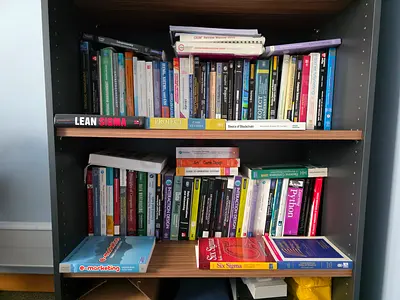 Business and Management Information Systems books
