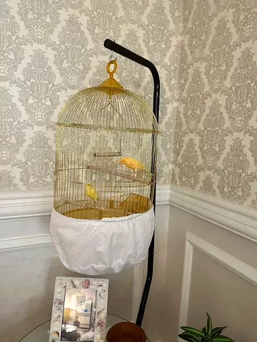 Cage