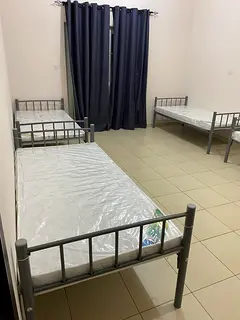 Single Executive Bedspace available in DIP2