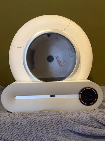 Pets cats litter box