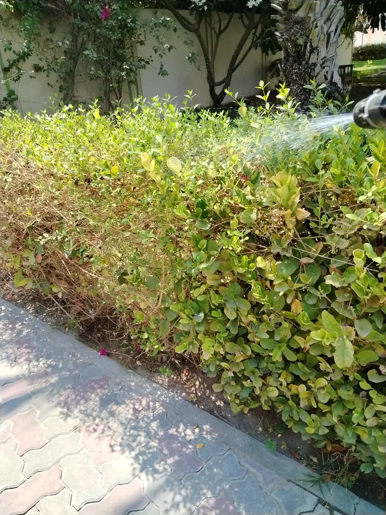 DPV_View_Image_3