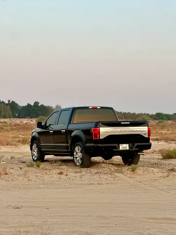 صورة 6 لـ 2017 FORD F-150