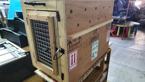 Cats and dogs carriers for air travel