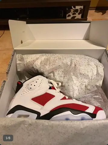 Air Jordan 6 Carmine Brand New