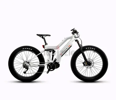 Nireeka mega powerful ebike