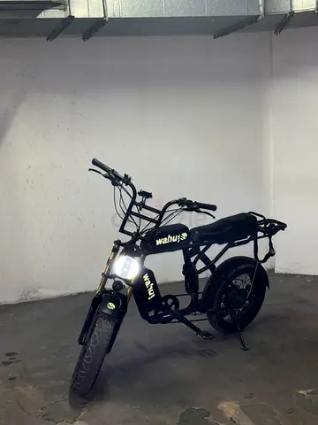 Long-Range Electric Bike – Dual Battery
