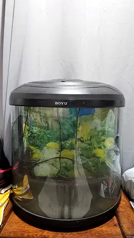 🐠 BOYU Nice curved-front Aquarium for Sale