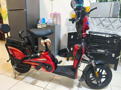Electric Scooter / Moped-style e-bike - Good Condition, Basket & Passenger Seat