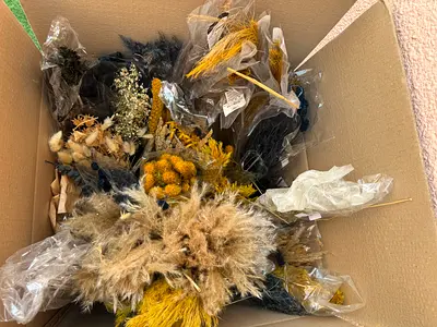 Mixed dried flowers - pampas, bunny tails and fillers in a big box. All new!