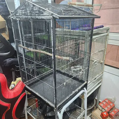 2 Large metal bird cage with stands and perches