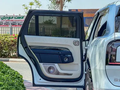 2025 Zeekr 9X 照片 8