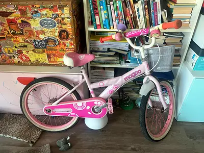 Magoo Pink Kids Bicycle with Front Basket