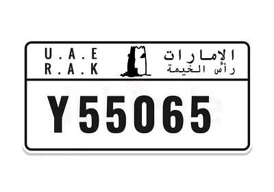 Y 55065 cheapest price
