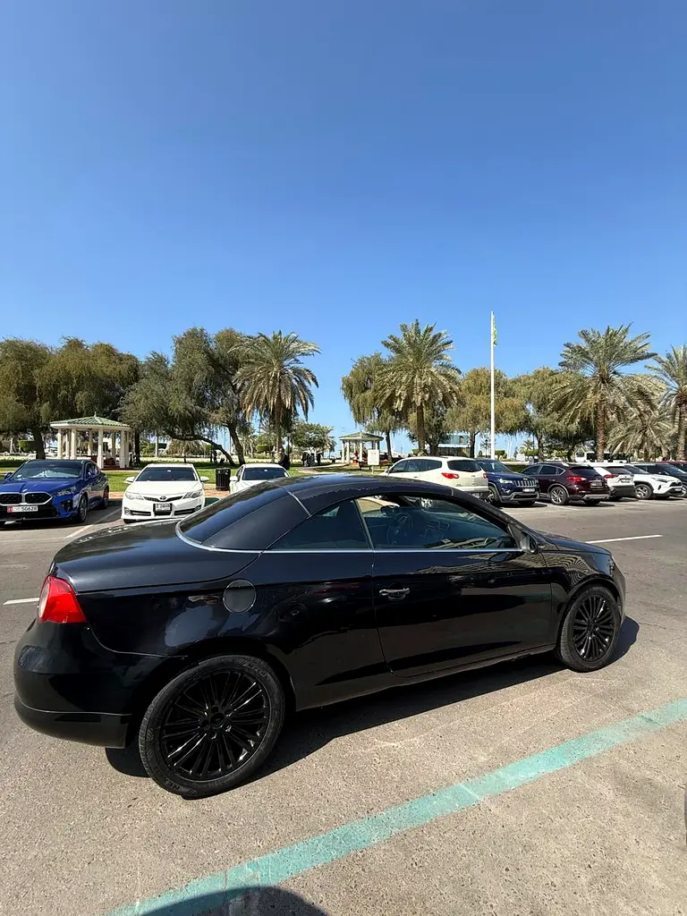2010 Volkswagen Eos Sport