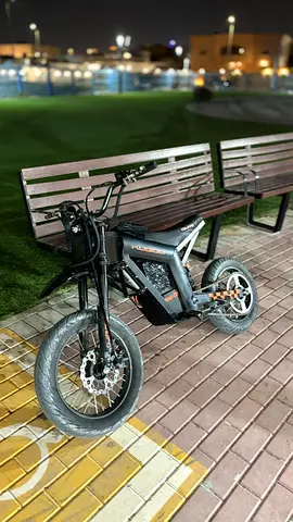Kugoo wish01 with supermotos and guts seat