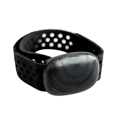 3 Assy, Heart Rate Armband