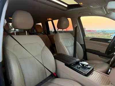 2019 Mercedes-BENZ GLS 缩略图 14