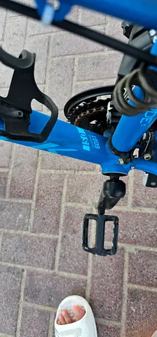 Well-used blue adult bicycle — sturdy frame, ready to ride