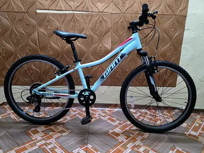 GIANT XTC 24 inch kids bIke