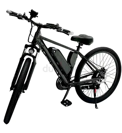 Delivery Ebike or for daily use