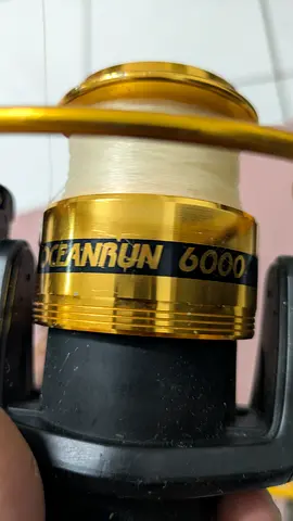 spinning fishing reel. 2000/6000