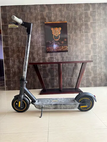 Ninebot g30 max electric scooter
