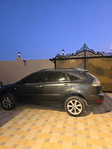 2007 Lexus RX-SERIES 照片 1
