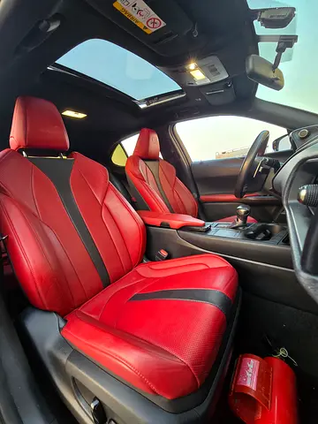 صورة مصغرة 19 لـ 2019 Lexus UX-SERIES