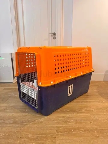 Dogs carriers for air travel 131 L