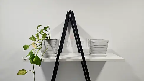 2 flower pots including money plant