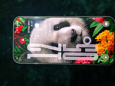 Oppo Find X9 Pro Global Version