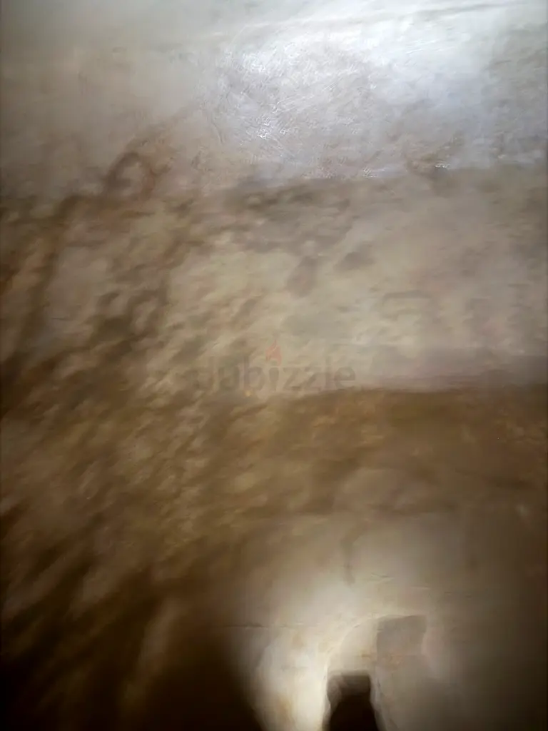 DPV_View_Image_2