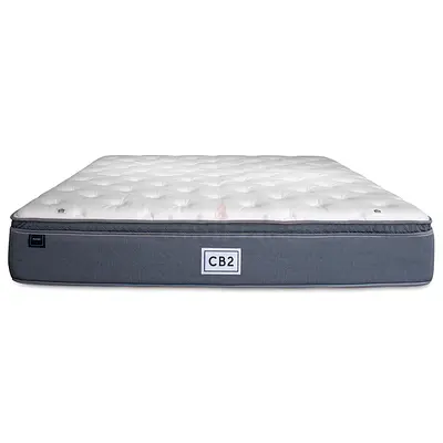 Cb2 Premium Queen size Plush mattress