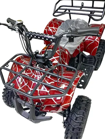 Kids Quad bike(Age Group 7-12 years)- Brand New