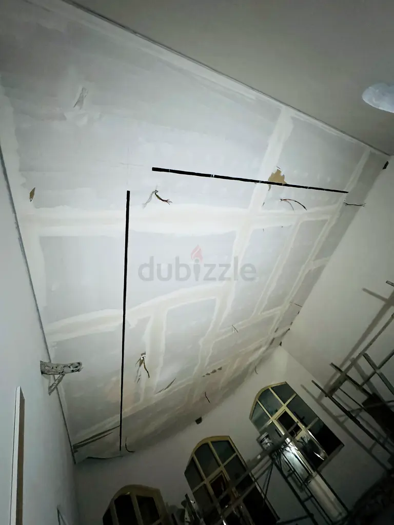 DPV_View_Image_1