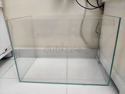 Spacious Fish Tank