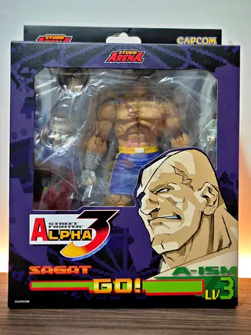 Storm Arena Street Fighter Alpha 3 Sagat