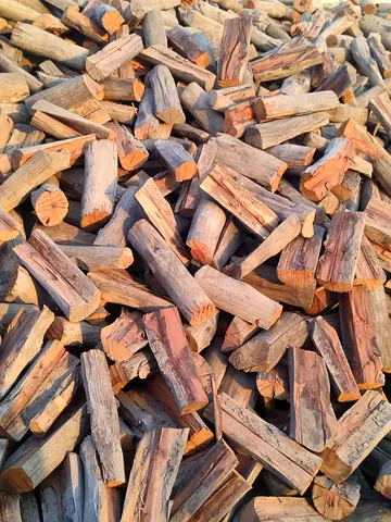 Camping firewood