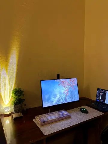 Viewsonic OMNI 165hz with BOX and dual monitor arm