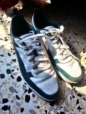 Puma shoe for sale