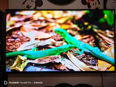 SONY Bravia 55" KD55X75AK 4K UHD
