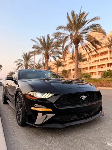 2023 Ford Mustang EcoBoost | Apple CarPlay | Lane Assist | Blind Spot |Perfect Condition | 48,000 km