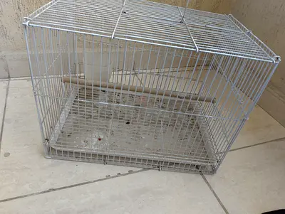 Bird cage