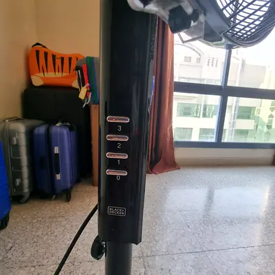 Fan