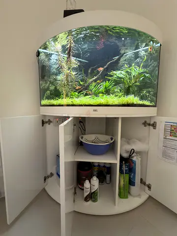 Fish Tank for sale