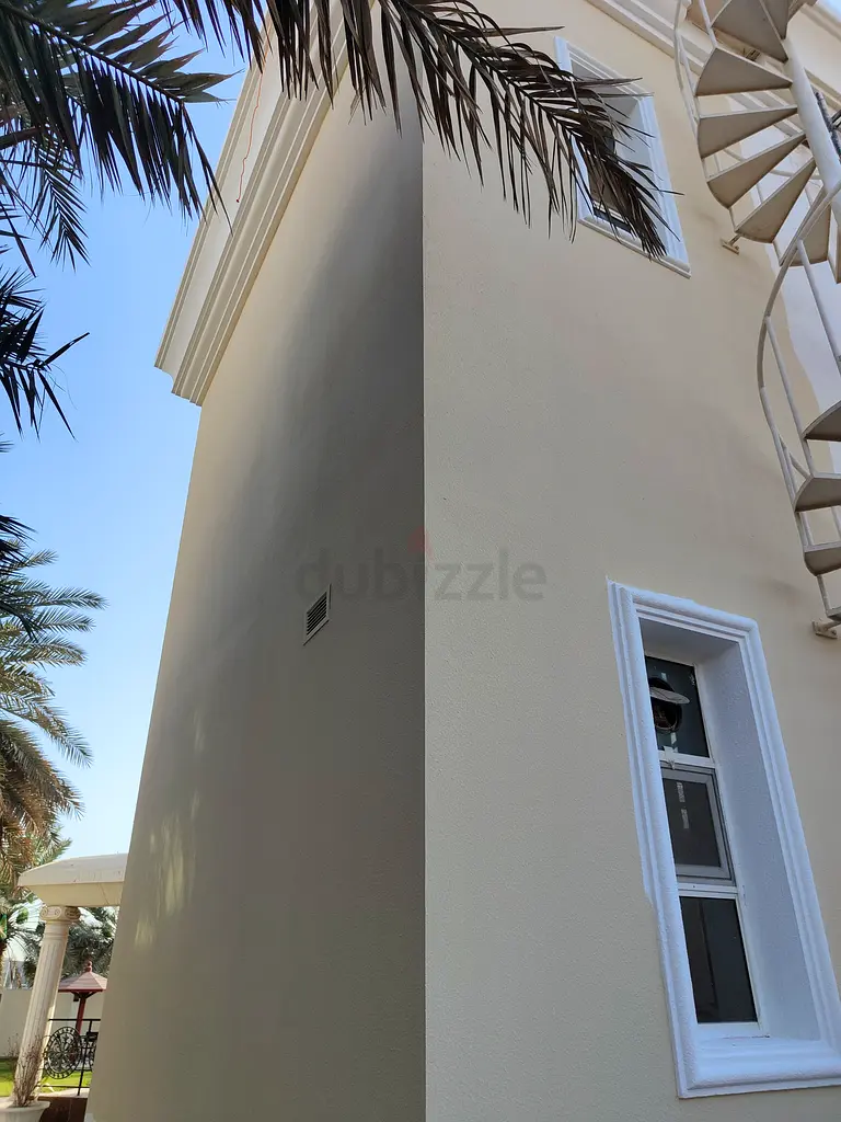 DPV_View_Image_2