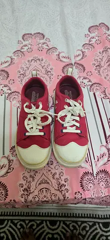 Limited edition skechers sneakers