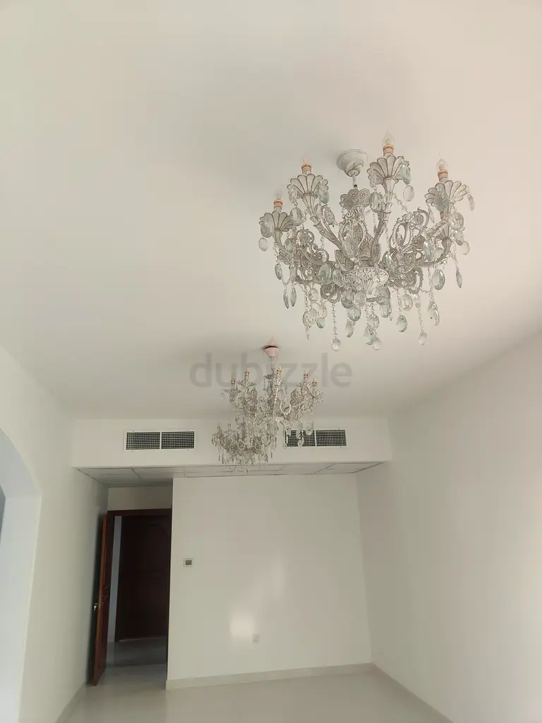 DPV_View_Image_4
