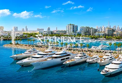 COMMUNITY EXPERT | AT OP | PARK & AMENTIES VIEW | RESALE