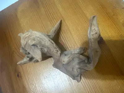 Aquarium accessories